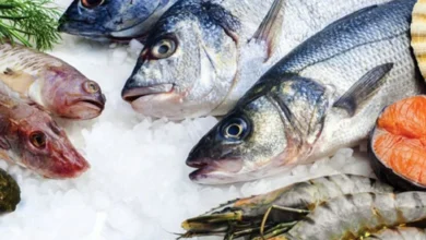 أسعار الأسماك اليوم