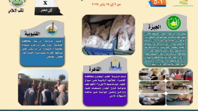 أنشطة وجهود مديريات الزراعة1