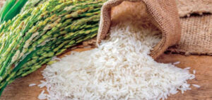 أسعار الأرز