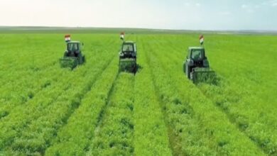 الاستثمار الاخضر