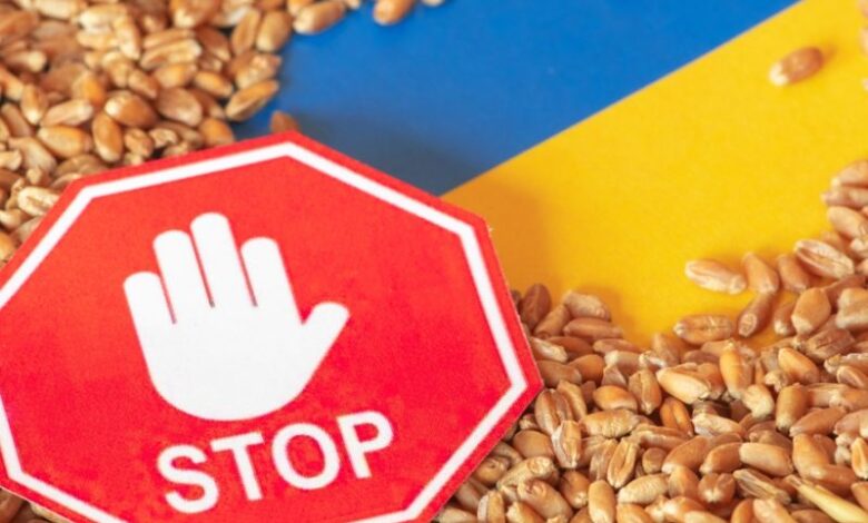 حظر بولندا واردات الحبوب الأوكرانية
