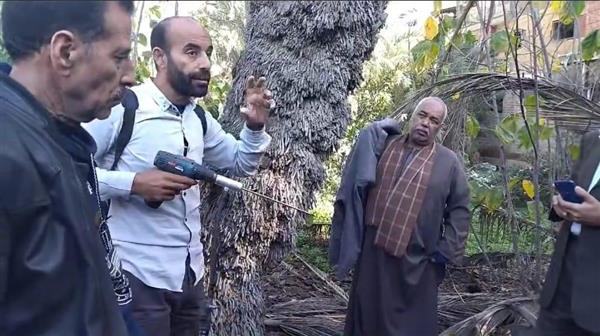 حملة لوقاية القمح