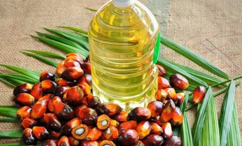 زيت النخيل