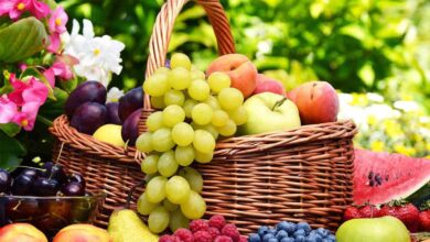 أسعار الفاكهة اليوم