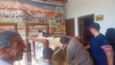قافلة بيطرية مجانية