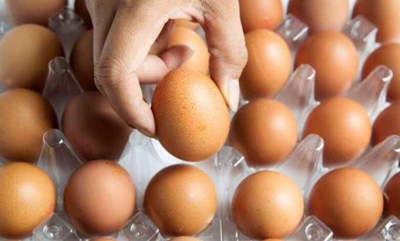 أسعار البيض