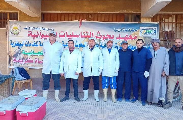 الطب البيطري