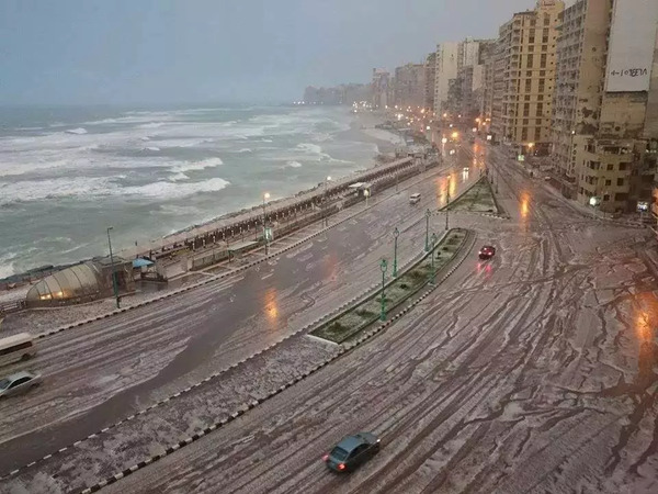 سيول