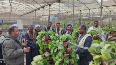 دورة تدريبية حول التقنيات الزراعية الحديثة4