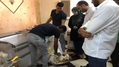 سلامة الغذاء
