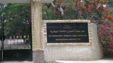 معهد الامصال واللقاحات البيطرية