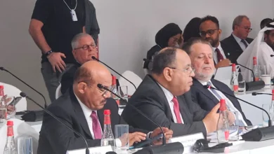 وزير المالية