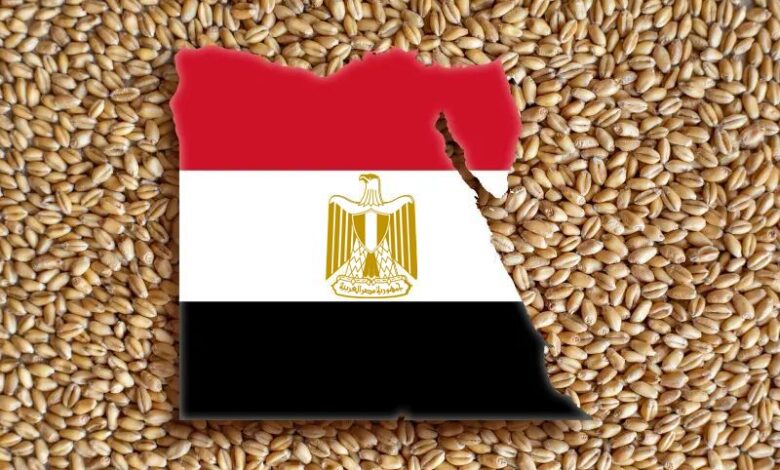 مصر