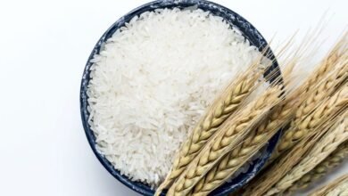 أسعار الأرز