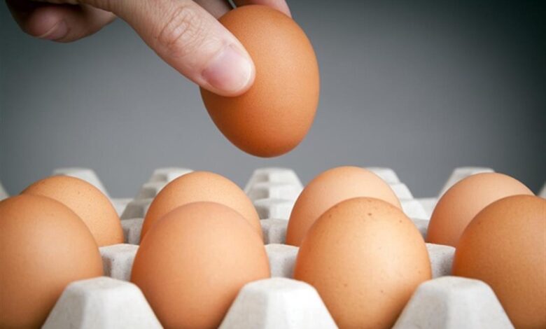 أسعار البيض اليوم