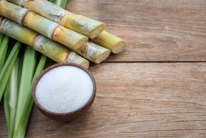 أكبر مشروع لإنتاج السكر