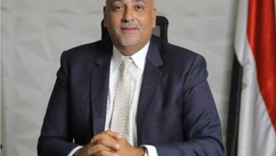 تنمية المشروعات