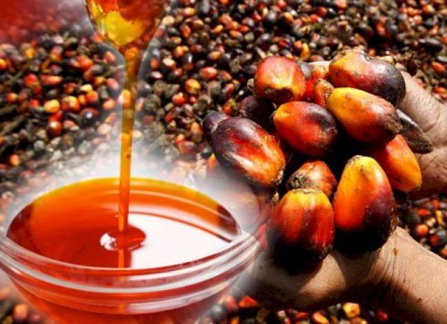 زيت النخيل الماليزي