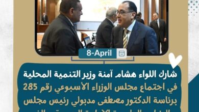 التنمية المحلية