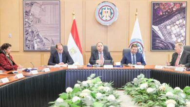 وزير المالية