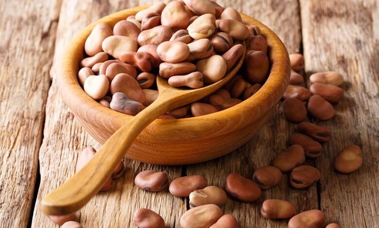 الفول البلدي