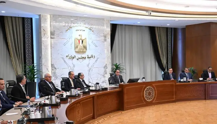 الحكومة المصرية