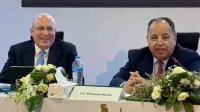 وزير المالية