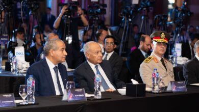 الأمن السيبراني