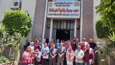 وقاية النباتات