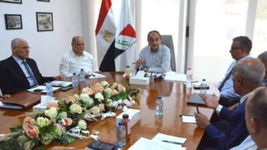 وزير الاقطاع