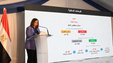 مي عبد الحميد