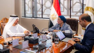 ياسمين فؤاد