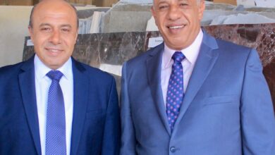 شركة أفا مينا