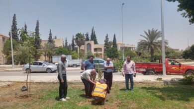 محمد السيد عبدالمقصود