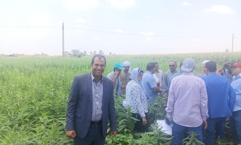 الزراعة