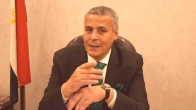 كامل الوزير