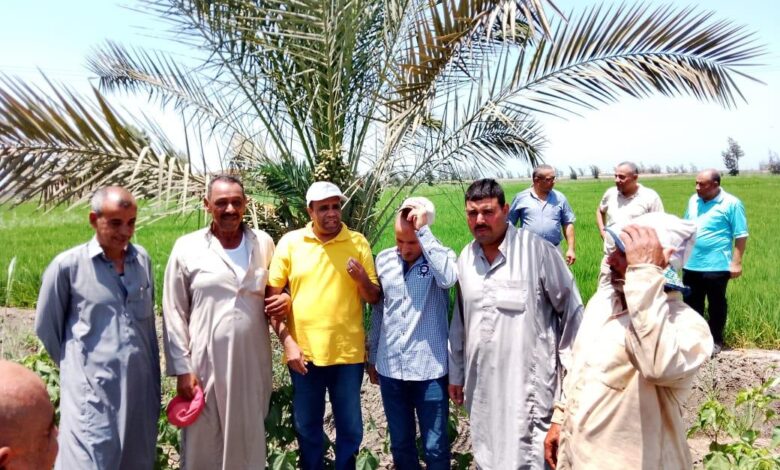 الزراعة