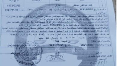 عصام الدين كامل