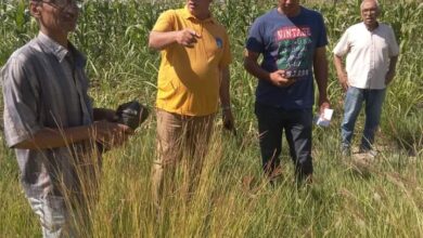 وزارة الزراعة