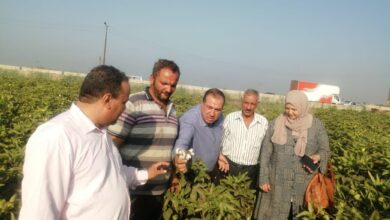 وزارة الزراعة