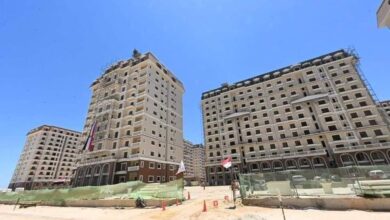 مشروع صوارى