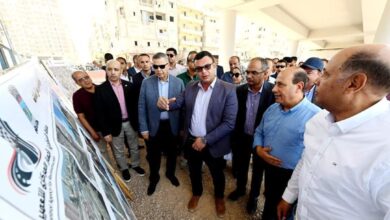 المهندس شريف الشربيني،