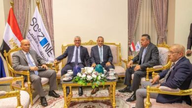 الدكتور وليد جمال الدين