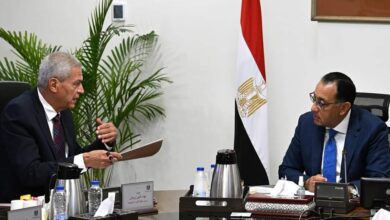 الدكتور مصطفى مدبولي