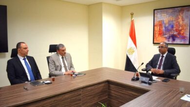 الدكتور سيد إسماعيل