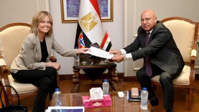 كامل الوزير