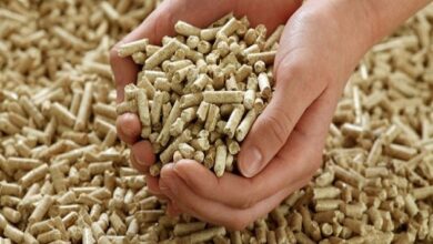 أسعار الأعلاف اليوم