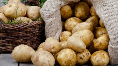 أسعار البطاطس