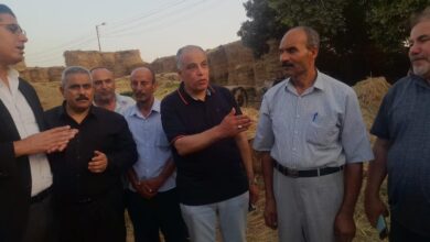 الزراعة والبيئة