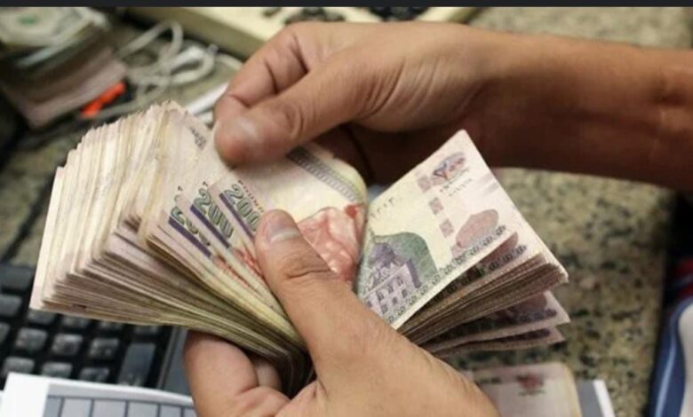فرص عمل مميزة